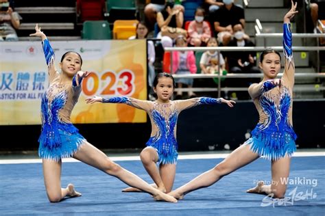 辛金女性格 2023年香港普及體操節